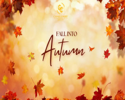 Fall Into Autumn